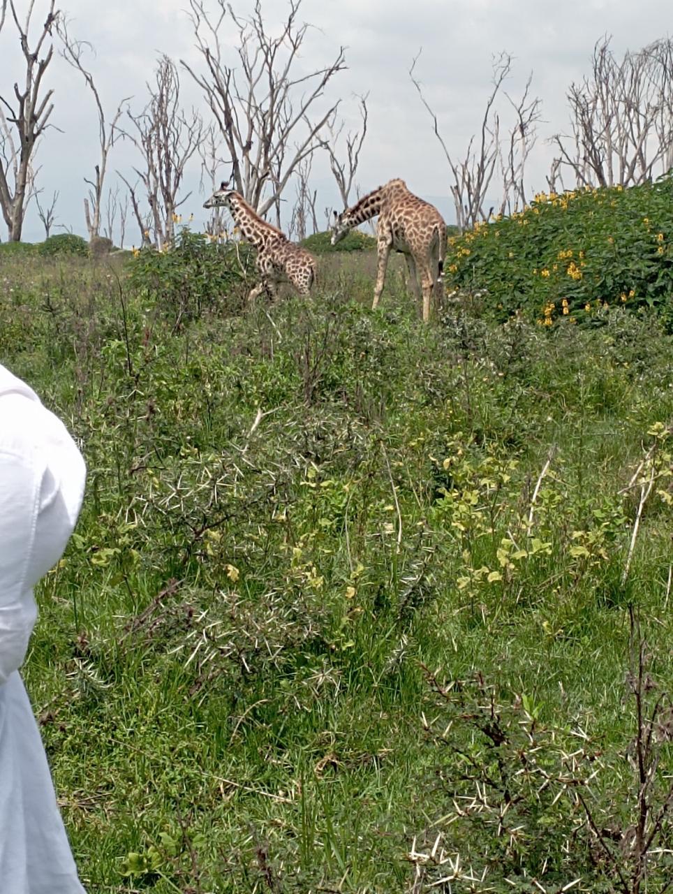 Lake Naivasha Nature Trail - Naivasha Day Trip