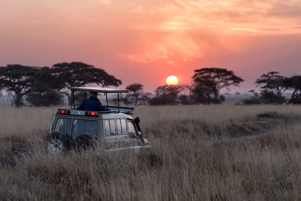Game drives