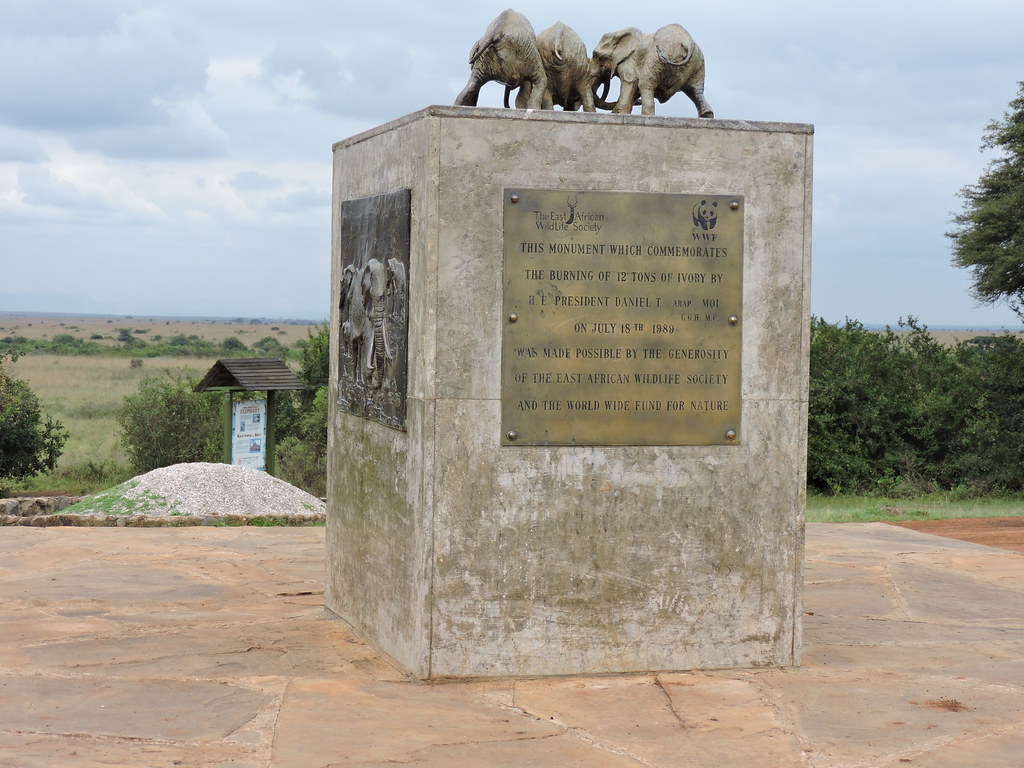 Ivory Burning Site