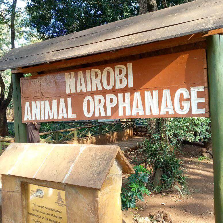 Nairobi Animal Orphanage