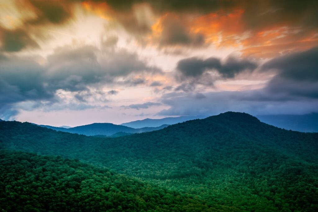 Aberdare National Park