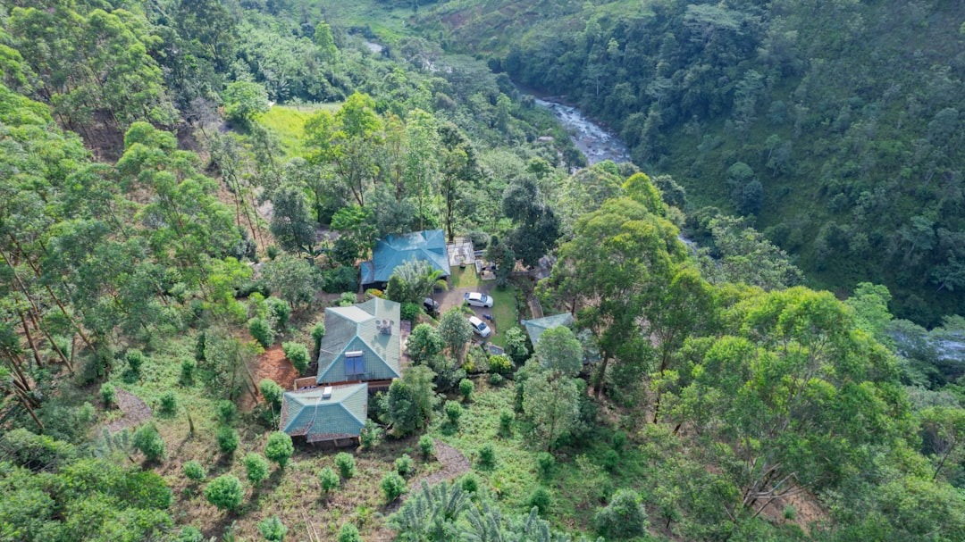 Classic Accommodation